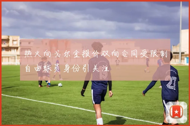 热火向戈尔金报价双向合同受限制自由球员身份引关注